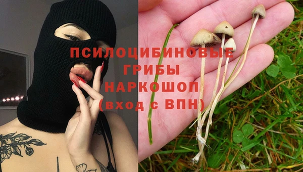 герыч Арсеньев