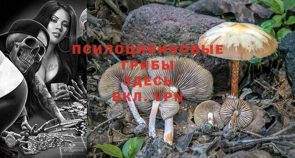 mix Армянск