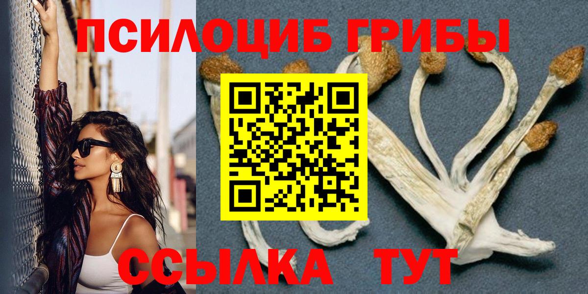 Псилоцибиновые грибы мицелий Дюртюли
