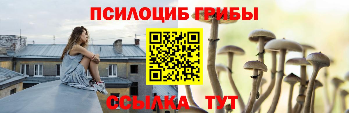 Псилоцибиновые грибы Cubensis  Вход с VPN  цена   Дюртюли 